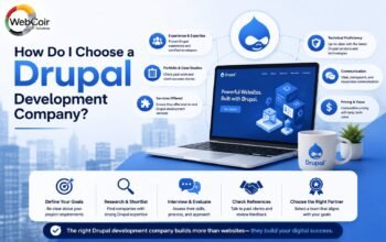 How Do I Choose a Drupal Development Company?